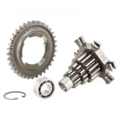 Engrenages De Transmission BENELLI 25270850