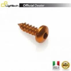 VIS ERGAL MOTO LIGHTECH PAC24913ORO