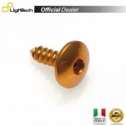 VIS ERGAL MOTO LIGHTECH PAC34516ORO