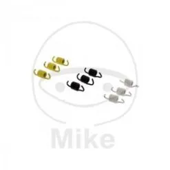 Ressorts D Embrayage MALOSSI 2913851