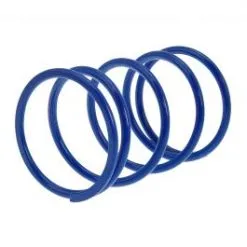 RESSORT DE POUSSE MALOSSI 298325.A0