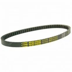 Courroie Transmission Moto MALOSSI