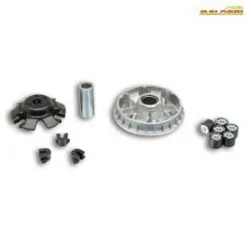 Variateur MALOSSI 5113822