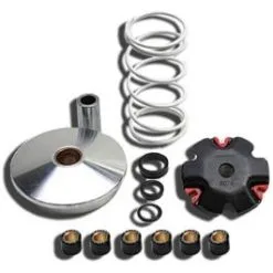 Variateur MALOSSI 518752