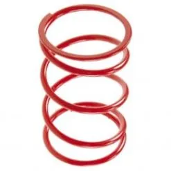 Ressort De Pousse MALOSSI