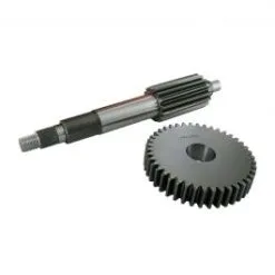 Trasmission Secondaire MALOSSI M6711486