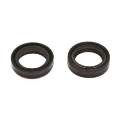 JOINT SPI FOURCHE MATTHIES ARI 073