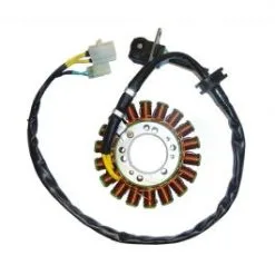 STATOR MOTO OKYAMI V733100151