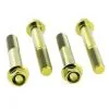 VIS ETRIER FREIN PRO-BOLT TIFBMON360G -Promos pièces de moto Boutique pro bolt tifbmon360g 361585 01