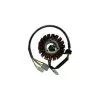 SGR STATOR COMPLET 125 SCARABEO 4T ROTAX 1999-2002 -Promos pièces de moto Boutique sgr 163068 510 01
