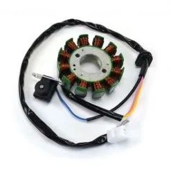 Stator Moto SGR 169038
